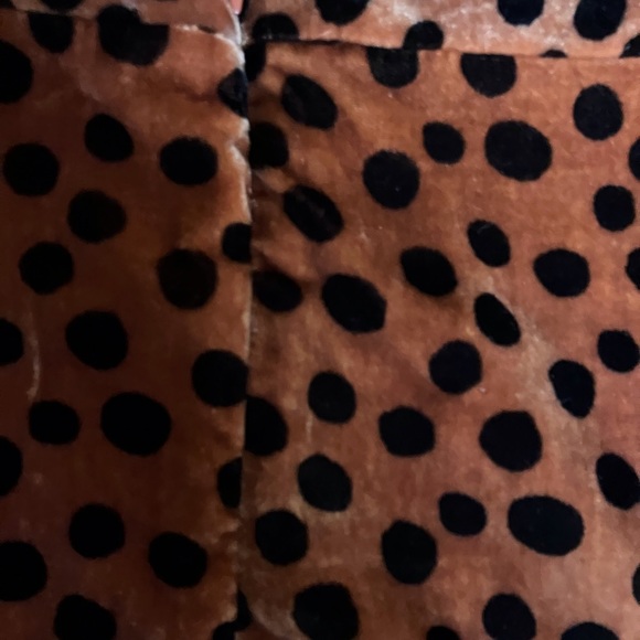 🐆Velvet Spotted Skirt from Madewell! 🐆 - Picture 6 of 9